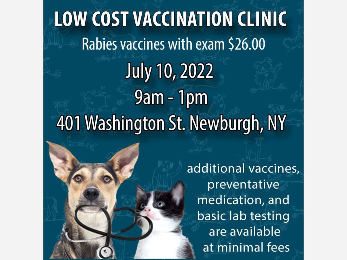 Cheap rabies shots for sales cats