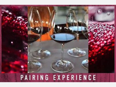 Pinor Noir Tasting 101