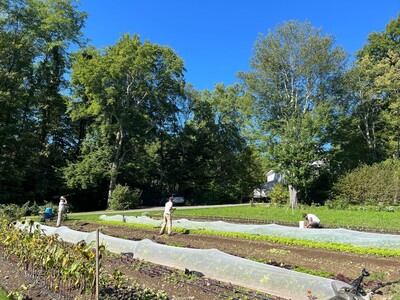From Farms to Families: Community Foundations of the Hudson Valley Awards Over $1 Million in Farm Fresh Food Grants