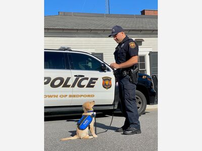  Bedford Police Department Welcomes Newest Member – Future BluePath Service Dog Maverick