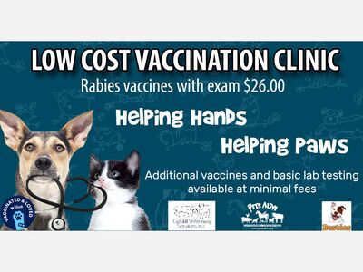 Low Cost Rabies and Wellness Clinic
