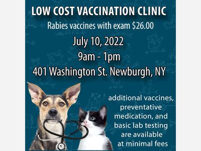 Low Cost Rabies and Wellness Clinic