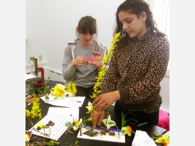  Coming Back to Life  Winter into Spring Art Workshop