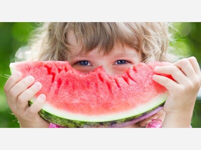 Rockland Community Against Hunger Launch Summer Hunger Relief Effort