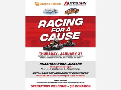County Executives To Compete in Go-Kart Race to Help Kids