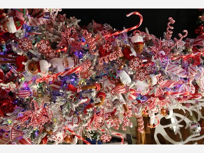 Down to Earth Offers the 12 Days of Christmas Deals Starting November 1st - Open House November 11 - 12