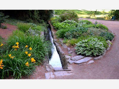 Proper Drainage Will Save Your Landscape