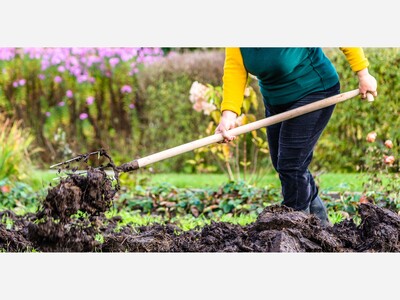 Preparing Your Garden for Next Spring