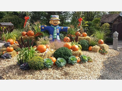 Mastering Pumpkin Carving: Tips for a Gourd-geous Jack-O'-Lantern