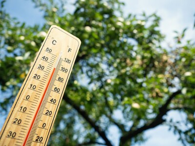 Heatwave Hits Rockland, Bergen & Lower Hudson Valley: Garden Tips