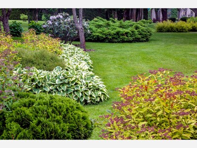 Don’t Wait for Spring: The Best Time to Plant Shrubs, Trees & Lawns Is Now