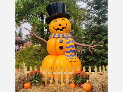 Westchester Gets a Halloween Décor Shop Unlike Any Other