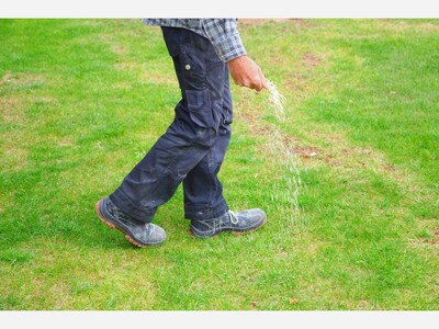 Renew Your Lawn: A Guide to Fall Renovation