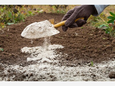 Do you Need a Little “Lime” This Weekend? 