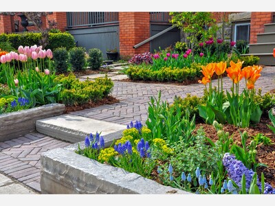 April is National Gardening Month: Tips to Jump Start Your Garden