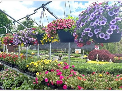 Hanging Baskets Can Thrive All Season with a Little Care