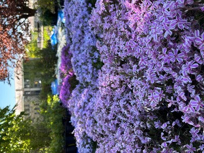 Rockland County Encouraging Residents to Rethink Lawns & Conserve Water This Spring