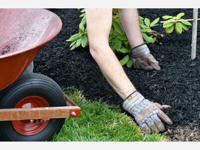 Water Advisory Council Encourages Healthy Summer Lawn Care That Naturally Reduces Water Use