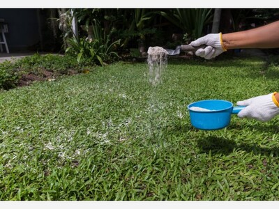 Put a Little  Lime  in Your Garden This Fall