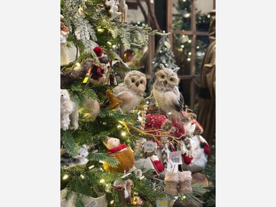 Step into a Winter Wonderland: Down to Earth Living Holiday Open House!