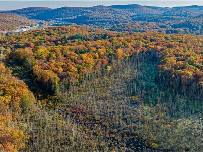 Rockland hails $2.74 million open space acquisition in Sloatsburg