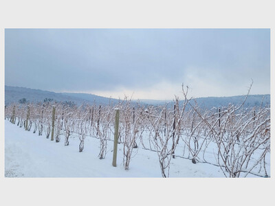 
Soup and Chili Weekend at Millbrook Winery
