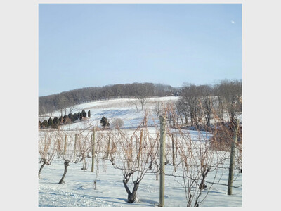 Soup, Chili and Live Music at Millbrook Winery