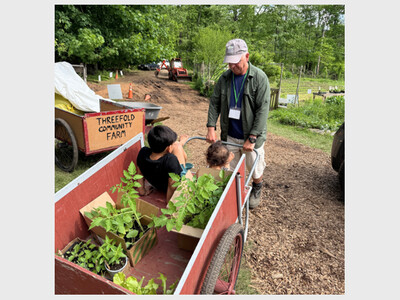 Biodynamic Plant Sale