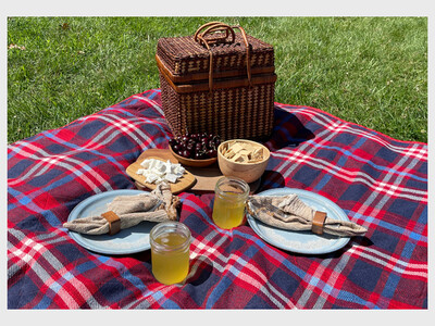 Farm Picnic & Benefit Concert