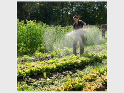 Biodynamic Solutions: Soil Fertility; Weed, Pest, & Fungus Control; Garden Planning & Timing