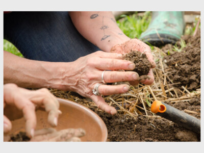 Biodynamic Training Live Q+A