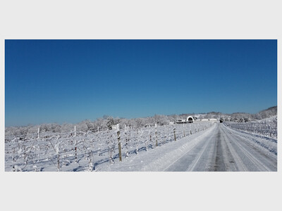 Winter Weekend at Milbrook Winery