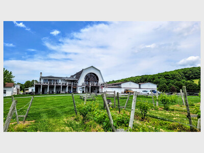 First Session: Millbrook Winery’s “Vine to Wine” Boot Camp