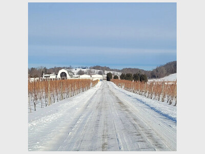 Soup, Chili and Live Music at Millbrook Winery