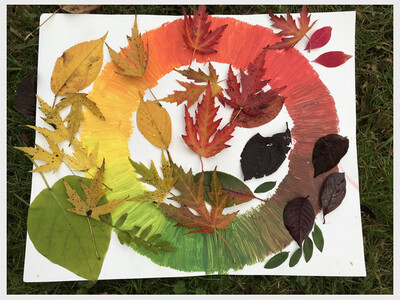 Autumn Color Explorations