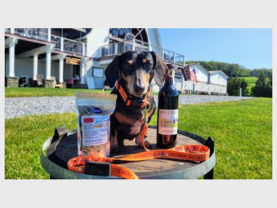 Millbrook Winery’s Food Truck & Farmers Market Friday