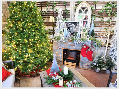 Beat the Tariffs with Down to Earth’s Christmas Tree Sale in July